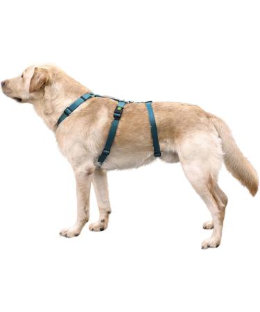 Kerbl 80043 Panic Harness Miami - Escape-Proof Petrol Adjustable 48-70cm | International Shipping Available - Buy Online on SooperMarket.com