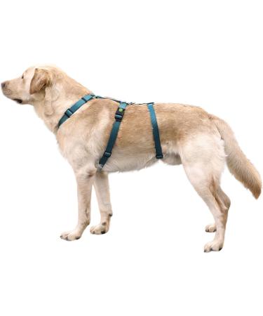 Kerbl 80045 Panic Harness Miami - Escape-Proof Design Petrol Color Adjustable 64-100cm | Shop Now for International Shipping - Buy Online on SooperMarket.com