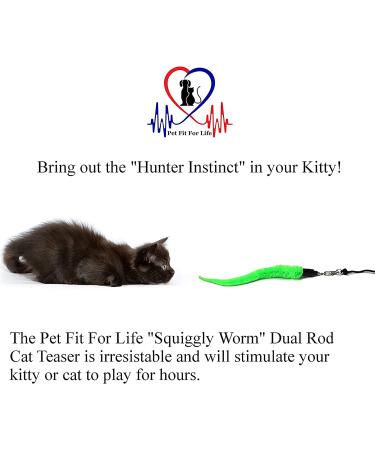 Pet Fit For Life Cat Toy - 5 Piece Worms Teaser and Exerciser for Interactive Play with Cat and Kitten - Buy Online on SooperMarket.com