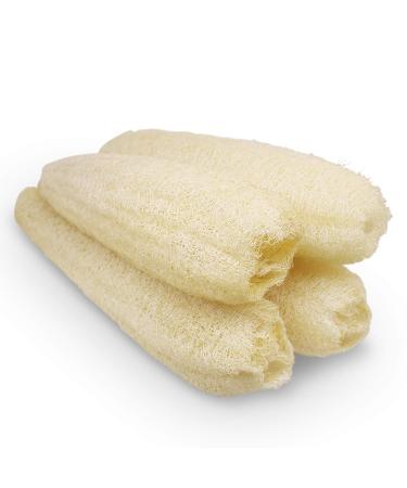 Natural Organic Loofah Sponges Large Exfoliating Shower Bath Loofah Luffa Loofa Body Scrubbers Sponges for SPA Beauty Bath and Radiant Skin Pack of 4 Whole Loofahs