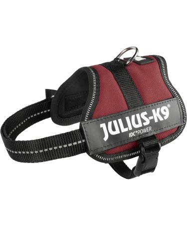 Shop K9 Powerharness 2XS/Baby 2 in Chestnut - Premium Dog Harness for Ultimate Comfort & Control | Fast International Shipping - Buy Online on SooperMarket.com