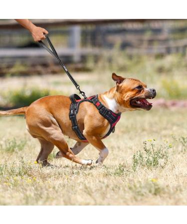 POPOT No Pull Dog Harness | Reflective Pet Vest for Daily Training & Walking | Control Handle | Red Medium - Buy Online on SooperMarket.com