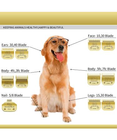 BESTBOMG 5fC Replacement Knife for Dog Grooming - 2 Pieces Compatible with Heiniger/Moser Max45 & Andis A5 - 1/4 (6.3mm) Gold Color - Buy Online on SooperMarket.com