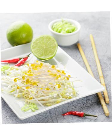Alipis 200 Pcs Bean Sprouts Toy Bean Sprout Prop Faux Veggies Plastic Models Stress Reliever PVC Fake Food Assorted Color1x4pcs 10X5CMx4pcs - Buy Online on SooperMarket.com