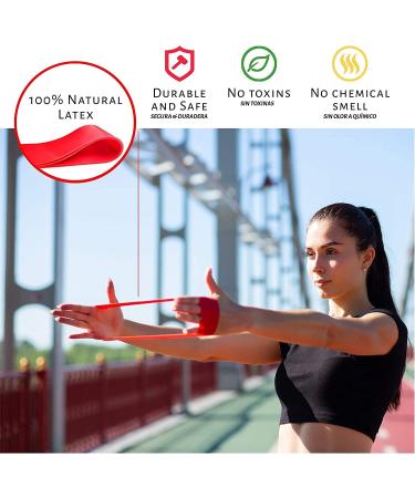 Limm Resistance Loop Exercise Bands - Set of 5 with Instruction Guide & Carry Bag - Latex Stretch Bands for Home Workout & Physical Therapy - Multicolor Set for Women and Men - Buy Online on SooperMarket.com
