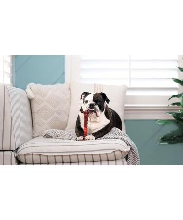 Nylabone Dura Chew Beef Jerky Power Chew - XL Chewing Bones for Heavy Chewers (Pack of 2) - Ideal for Dogs up to 23 kg - Multi-Colored - Buy Online on SooperMarket.com