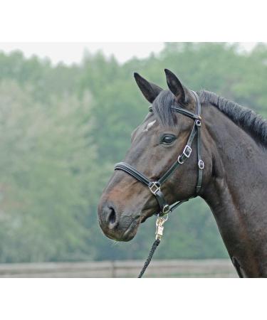 Buy Solibel Trekking Bridle Black - Stainless Steel Coldblood - International Shipping Available - Buy Online on SooperMarket.com