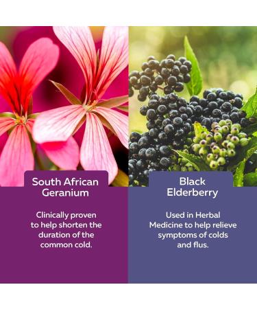 Nature's Way Sambucus Cold and Flu Relief Elderberry Gummies for Kids Used in Herbal Medicine to Help Relieve Symptoms (Cough Runny Nose and Sore Throat) in Children age 3+ 60 Gummies - Buy Online on SooperMarket.com