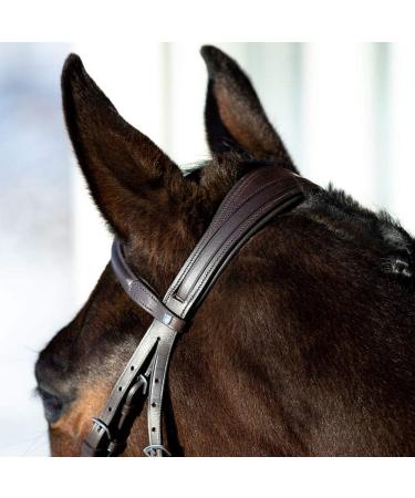 HORZE Prescott Figure 8 Bridle - Brown, Horse Size - Buy Online on SooperMarket.com