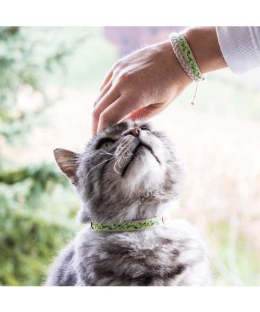 Pettsie Cat Collar Breakaway & Friendship Bracelet Set | Eco-Friendly Gift Box | D-Ring for Accessories | 100% Cotton | Adjustable Green Design - Buy Online on SooperMarket.com
