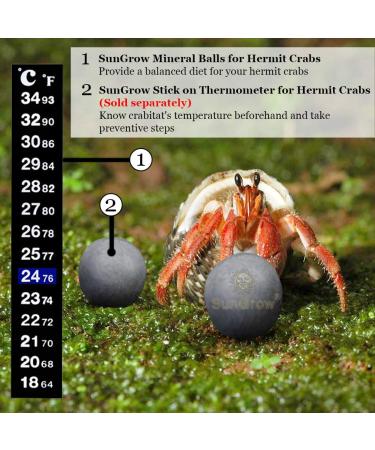 Sungrow 10 Hermit Crab & Crayfish Calcium Supplement Balls - 30+ Minerals for Molting Pets - Buy Online on SooperMarket.com