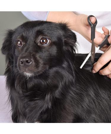 Professional Stainless Steel Pet Grooming Scissors Set for Dogs and Cats - Eye & Thinning Shears Kit for Home Grooming - Includes 1.6371 Eye Scissors + 6373 Thinning Scissors - Buy Online on SooperMarket.com