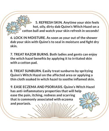 Quinns Alcohol-Free Witch Hazel with Aloe Vera 16oz - Unscented | Natural Skin Toner - Buy Online on SooperMarket.com