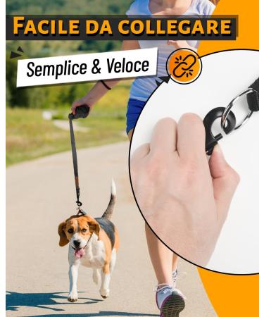 Looxmeer Dog Tow Lines - 3m 5m 7m 10m 15m 20m 30m - Robust Leash with Storage Bag & D-Carabiner | Black 10m - Buy Online on SooperMarket.com