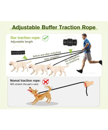 Pecute Jogging Leash for Large & Medium Dogs | Elastic Running Dog Leash with Belly Belt & Belt Bag | Durable Up to 100kg - Perfect for Jogging & Running - Buy Online on SooperMarket.com