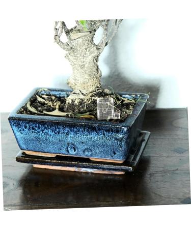 Mipcase Pet Water Feeder Ant Feeding Bowl Ants Farm Water Feeders Insect Feeder Ants Watering Cup Plastic - Buy Online on SooperMarket.com
