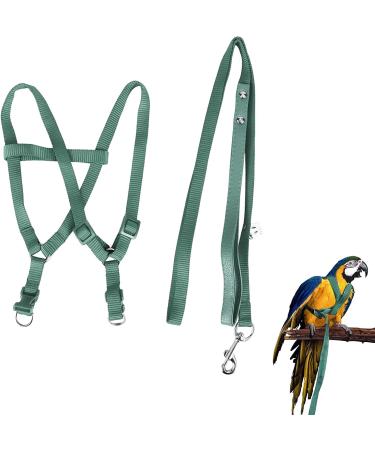 Camidy Adjustable Bird Harness and Leash Kit Macaw Cockatoos Bird Leash for Parrots Outside Training Walk for Large Bird Parrots Green L