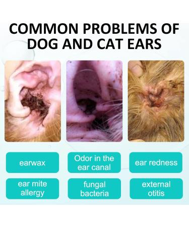 Dog Ear Cleaner Ear Infection Treatment for Dogs Cats Dog Ear Drops for Infection Antibiotics Effective Eliminates Ear Odour Dirt and Debris Pets Ultra-Otic Advanced Ear Cleaner Solution (50ml) - Buy Online on SooperMarket.com