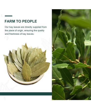 Soeos Bay Leaves 2oz - Non-GMO Dried Bay Laurel Herbs - Freshly Packed for Cooking - Buy Online on SooperMarket.com