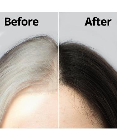 Daeng Gi Meo Ri Korean Herbal Hair Dye Cream Black - PPD-Free Gray Coverage & Hair Protection High-Keratin Formula - 5 Oz - Buy Online on SooperMarket.com