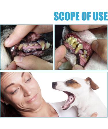 KOAHDE Pets Toothpaste Pets Teeth Cleaning Toothpaste Dogs Dental Care Dogs Toothpaste Toothpaste for Dogs & Cats Pets Oral Hygiene Toothpastes Helps Prevent Bad Breath & Combat Plaque Pets Toothpaste - Buy Online on SooperMarket.com