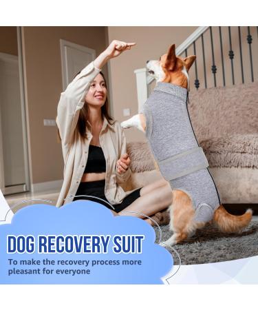 Lukovee Dog Surgery Recovery Suit Dog Cone E-Collar Alternative After Surgery with Zipper for Female Male Dog Recovery Shirt Dog Abdominal Wounds Bandages Preventing Licking Spay Suit (GY M) Medium Gray - Buy Online on SooperMarket.com