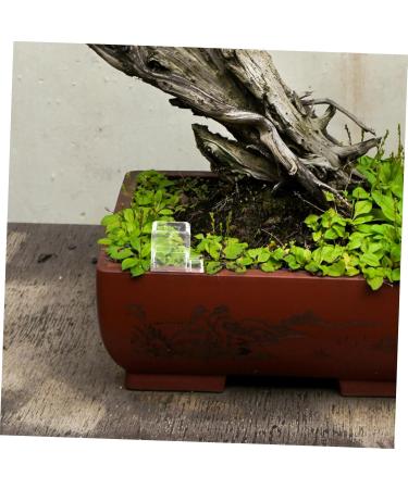 Mipcase 2pcs Pet Water Feeder Ants Nest Water Feeder Ants Nest Water Feeding Area Ants Water Feeder Plastic - Buy Online on SooperMarket.com