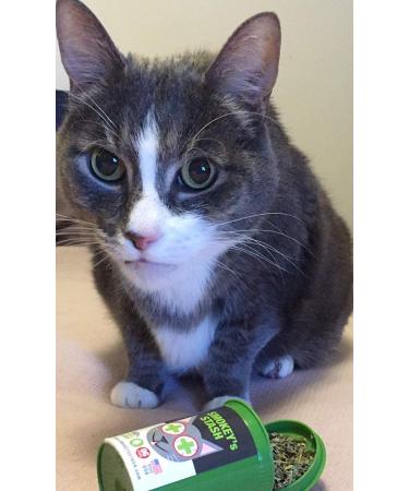 Organic Smokey's Stash Catnip Spray & Dried Combo Bundle - Maximum Potency Catnip for Cats - Buy Online on SooperMarket.com