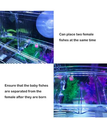 J-star Aquarium Breeder Box - Baby Fish Separator & Incubator Divider - Buy Online on SooperMarket.com