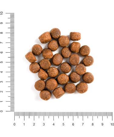 Hunger of the Wolf Adult Dog Food - Beef & Brown Rice 3kg | Premium Dry Food for All Breeds - Buy Online on SooperMarket.com