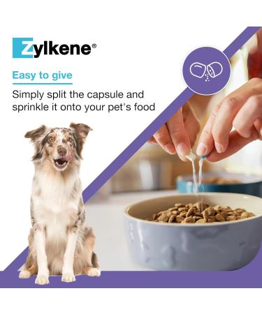 Zylkenee 450mg - 20 Capsules | Natural Stress Relief Supplement for Pets | Fast International Shipping - Buy Online on SooperMarket.com