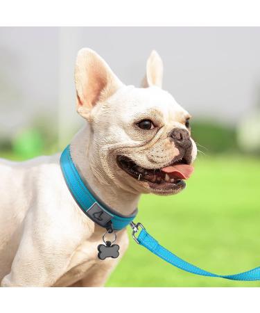 Joytale Baby Blue Dog Collar - Softly Padded Neoprene Nylon Reflective Collar for Small Dogs | 1 Pack - Buy Online on SooperMarket.com