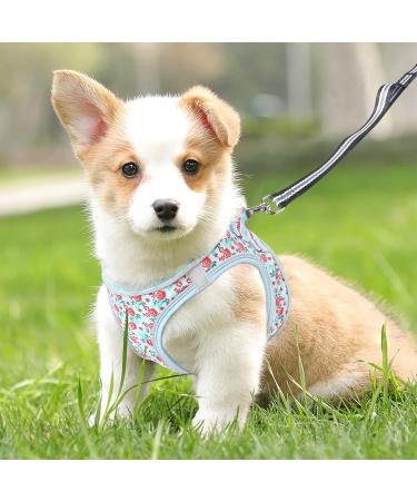 Heele Dog Harness for Small & Medium Dogs - Adjustable Reflective Soft Mesh Puppy Harness in Flower Cyan Breathable & Comfortable Design - Buy Online on SooperMarket.com