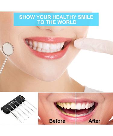 6 Pack Dental Tools Set - Professional Stainless Steel Oral Care Kit with Case | Tooth Scraper, Plaque & Tartar Remover - Buy Online on SooperMarket.com