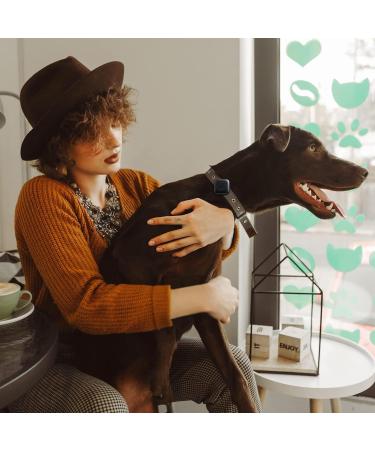 Cloudvalley Airtag Dog Collar - IPX8 Waterproof GPS Tracker for Apple Airtags - Lightweight Easy Install Anti-Loss Cover for Dogs & Cats - Buy Online on SooperMarket.com