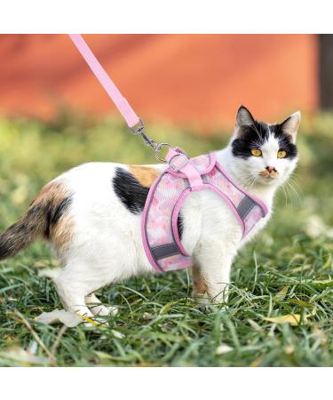 BriFit Cat Dishes with 150cm Leash - High Quality Breakfast Set for Cats & Small Dogs (Pink XS) - Perfect for Pets 6.61-1lb - Buy Online on SooperMarket.com