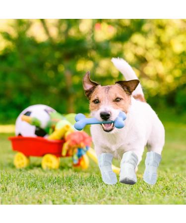 Zngou 12 Pcs Disposable Dog Shoes Dog Socks Paws Stop Licking Disposable Dog Boots Dog Paw Protector Dog Slippers Dog Foot Cover for Small Medium Dogs Pet Injured Paws Summer Indoor Outdoor Walking(L) - Buy Online on SooperMarket.com
