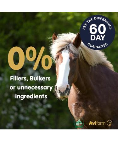 Suppleaze Gold Joint Supplement for Horses - Nourishes Conditions and Supports Your Horses Joints - Optimum Levels of Glucosamine - New Formula with MSM HA Vitamin C And Boswellia 600 g (Pack of 1) - Buy Online on SooperMarket.com
