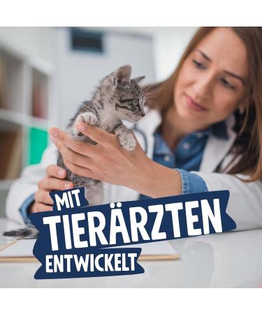 Pets Deli Pure Meat Wet Food for Cats - Duck & Dandelion - Sugar & Gluten Free - 12 x 85g Pack - Buy Online on SooperMarket.com