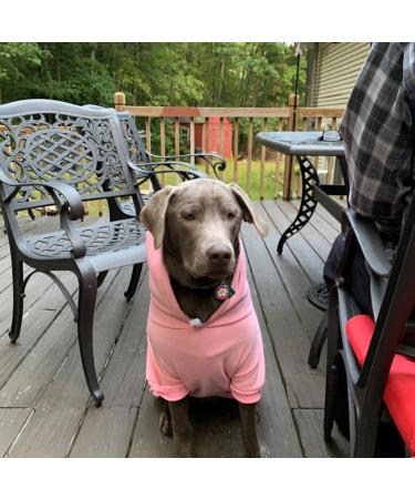 EXPAWLORER Princess Dog Hoodie with Leash Hole - Pink Winter Coat for Girl Dogs - Buy Online on SooperMarket.com