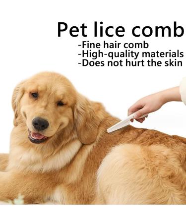 Seababoo 3PC Metal Lice Comb Set - Extra Fine Tines for Effective Lice & Flea Treatment for All Hair Types - Buy Online on SooperMarket.com