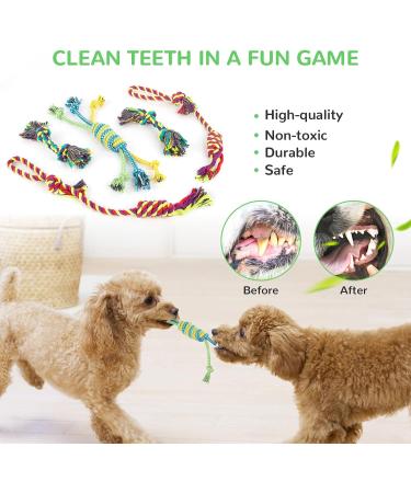 12 Piece Cute Plush Squeak Dog Toys Set | Natural Cotton Puppy Rope & Chicken Tools for Pets | Perfect for Dogs & Puppies - International Shipping - Buy Online on SooperMarket.com
