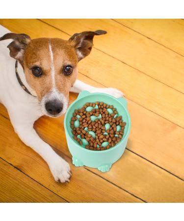 Heyu-Lotus Raised Cat Bowl Cat Bowls with Stand Tilted Elevated Cat Slow Feeder Cat Food Bowls Ergonomic Cat Feeding Bowls Cat Food Water Bowl Cat Dishes Raised Cat Feeder - Buy Online on SooperMarket.com