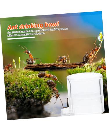 Kisangel 2pcs Ant Water Feeder Ant Feeding Bowl Mini Ant Feeder Acrylic Ant Feeders Ant Nest Water Feeding Area Water Bowl for Ants Insect Feeder Transparent Ant Water Feeding Bowl - Buy Online on SooperMarket.com