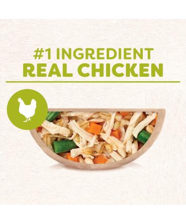 CESAR Wholesome Bowls Wet Dog Food Chicken Carrots Barley & Green Beans 85g Pack of 10 Chicken Carrots & Green Beans 85 g (Pack of 10) - Buy Online on SooperMarket.com