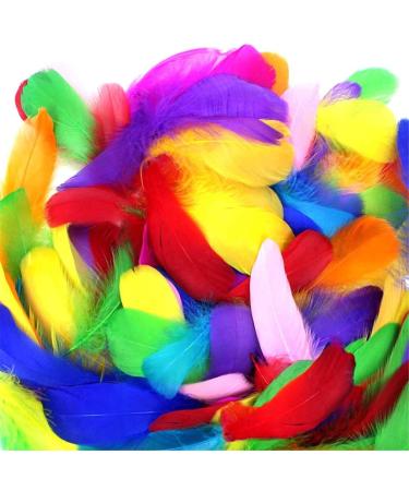 Coceca 300pcs 3-5 Inches Colorful Feathers for DIY Craft Wedding Home Party Decorations