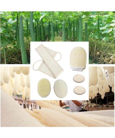 ENLAYER 6 Pack Natural Loofah Exfoliating Back Scrubber and Pad Set - Deep Cleaning Shower Sponge for Face and Body - Buy Online on SooperMarket.com