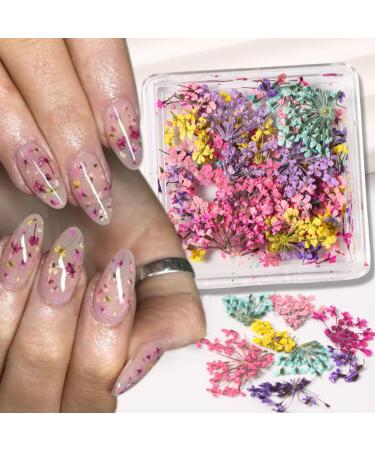 Buy 4Box 3D Dried Flowers Nail Art Stickers - Colorful DIY Mini Flower Petals for Nail Design - Natural Floral Decals for Manicure & Craft Accessories - Buy Online on SooperMarket.com