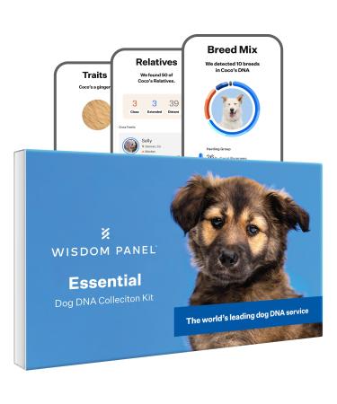 Wisdom Panel Essential: Most Accurate Dog DNA Test Kit for Breed ID and Ancestry | 25+ Genetic Health Conditions | Traits | Relatives Pack of 1