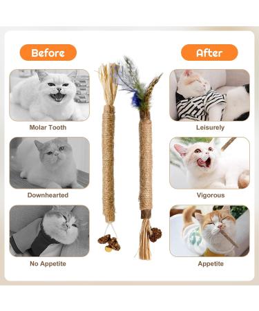 Zuimei 6 Pack Silvervine Chew Sticks Kitten Teething Toys Natural Cat Teeth Nip Cleaning Teeth Chew Catnip Toys with Bells and Feathers for Cat Teeth Cleaning Kitten Teething and Stress Release - Buy Online on SooperMarket.com